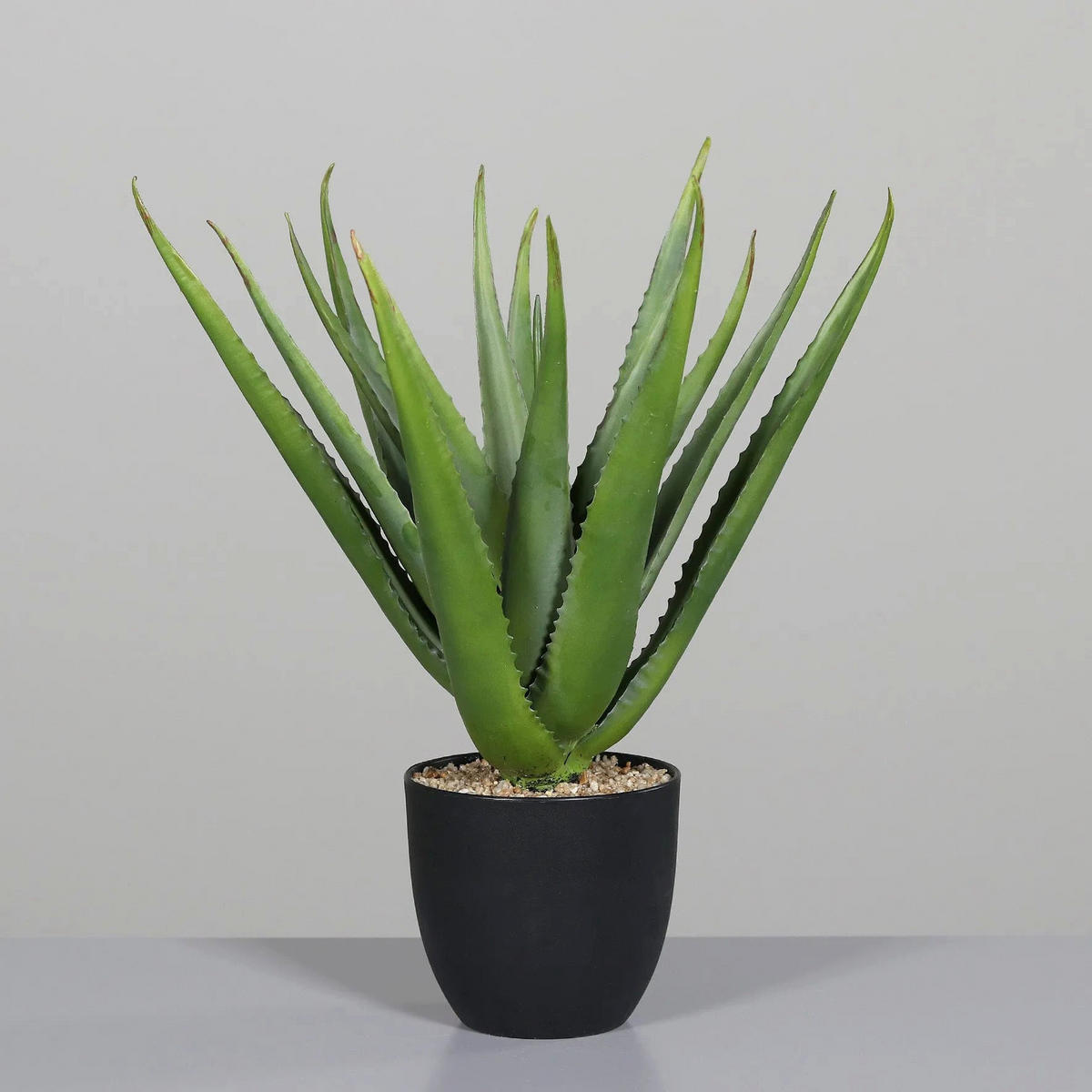ALOE VERA Künstliche Aloe Vera - Chester 50 cm - Grün, Kunststoff (50cm) - aplanta