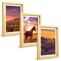 BILDER SET 3er Set - 20x30 cm Goldrahmen - Berglandschaft mit einem Pferd - Goldfarben, Kunststoff (20/30cm) - TULUP