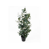 KÜNSTLICHER EUKALYPTUS Topf Eden 78 cm - Grün, Kunststoff (78cm) - Present Time