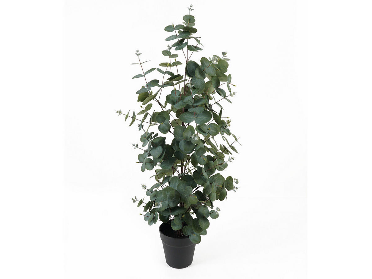 KÜNSTLICHER EUKALYPTUS Topf Eden 78 cm - Grün, Kunststoff (78cm) - Present Time