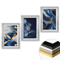 WANDBILDER 3er Set - 20x30 cm Silberner Rahmen - Abstrakte, elegante Muster - Silberfarben, Kunststoff (20/30cm) - ArtPrintCave