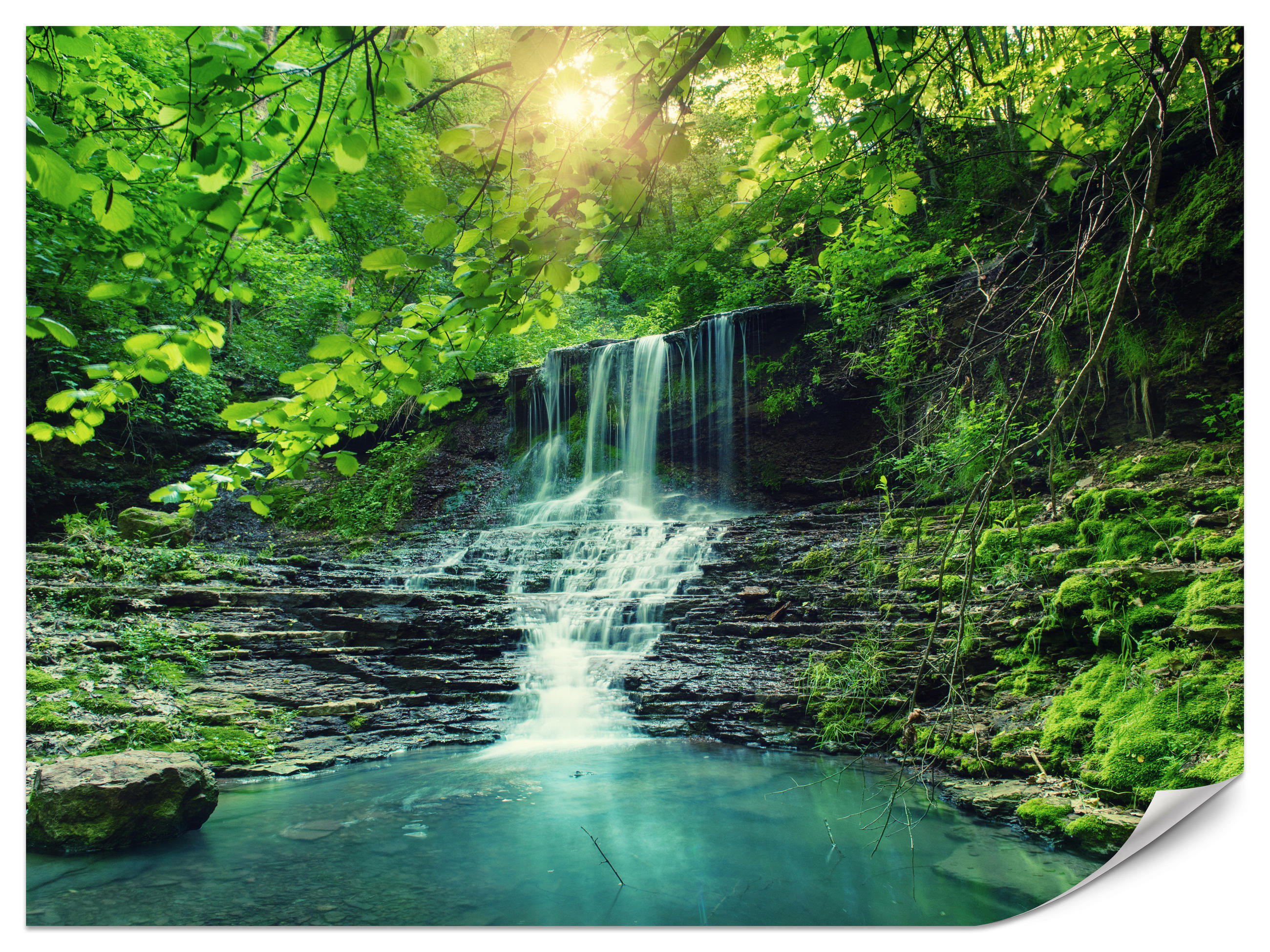 FOTOTAPETE für Schlafzimmer Türkisfarbener Wasserfall Wald Bäume Blätter Felsen 250x175 - Türkis/Blau, Papier (250/175cm) - Muralo