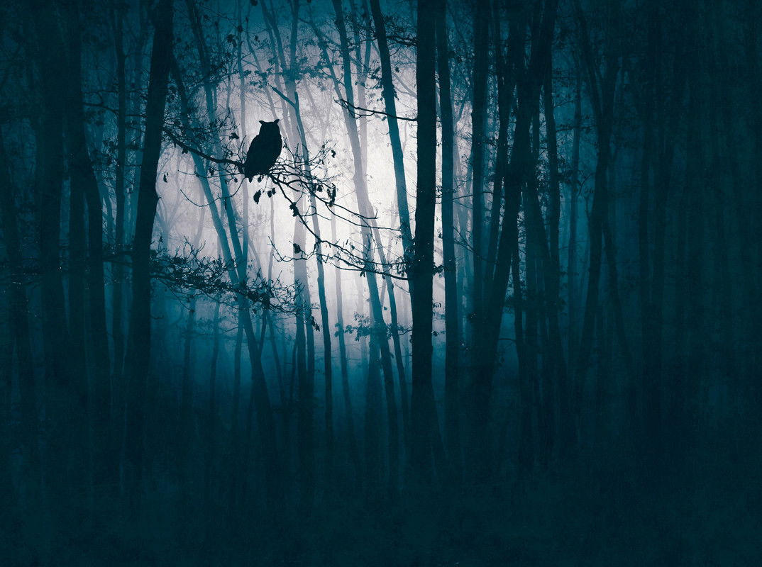 VLIESTAPETE Blau 371/280 cm - Blau/Schwarz, Textil (371/1cm) - KUNSTLOFT