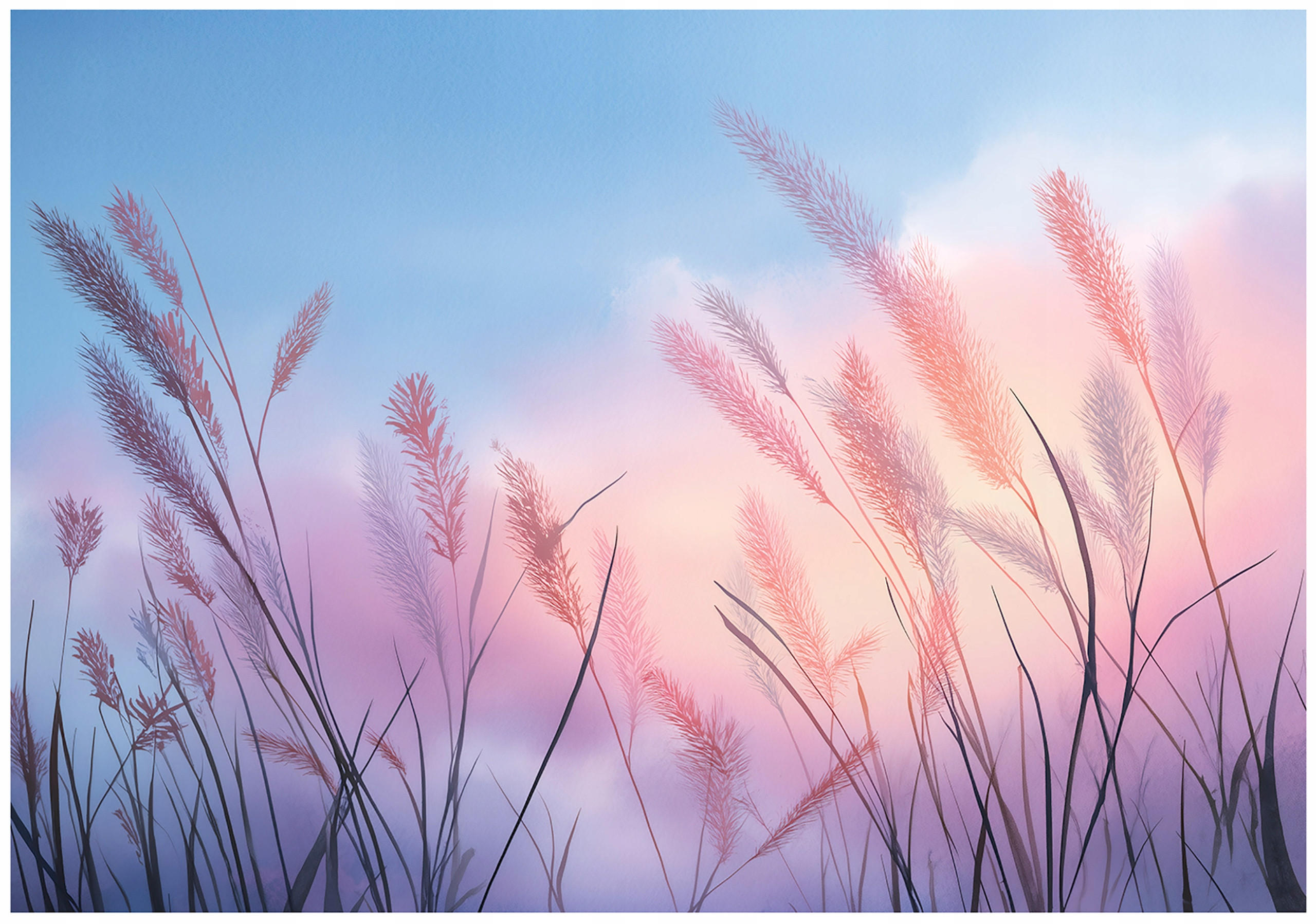 FOTOTAPETE Pampasgras Himmel Blau 200x140 cm - Multicolor, Papier (200/140cm) - Wallarena