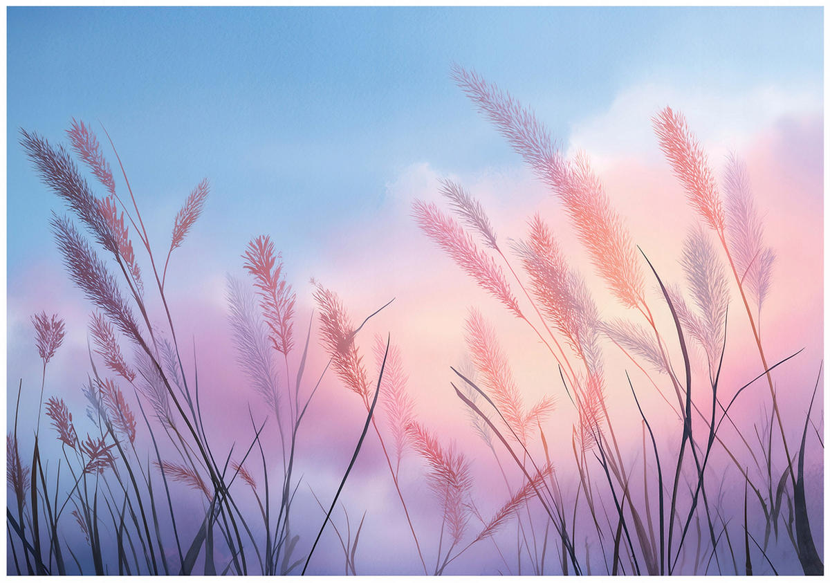 FOTOTAPETE Pampasgras Himmel Blau 200x140 cm - Multicolor, Papier (200/140cm) - Wallarena