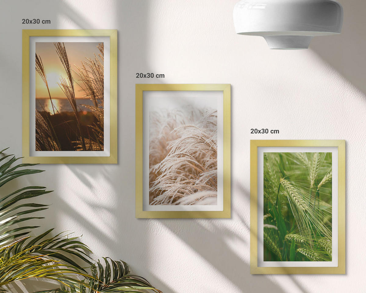 BILDER SET 3er Set - 20x30 cm Goldrahmen - Gräser farbenfrohe Natur - Goldfarben, Kunststoff (20/30cm) - TULUP