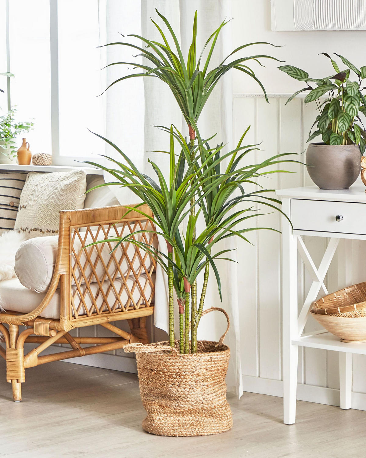 KUNSTPFLANZE im Blumentopf 147 cm Grün/Schwarz Dracaena Anita - Schwarz/Grün, Kunststoff (147cm) - Beliani