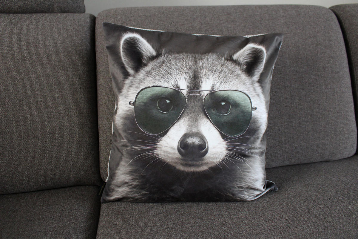 KISSENHÜLLE WASCHBÄR BILL Brille - Blaugrau, Textil (45/45cm) - Yve! decoration