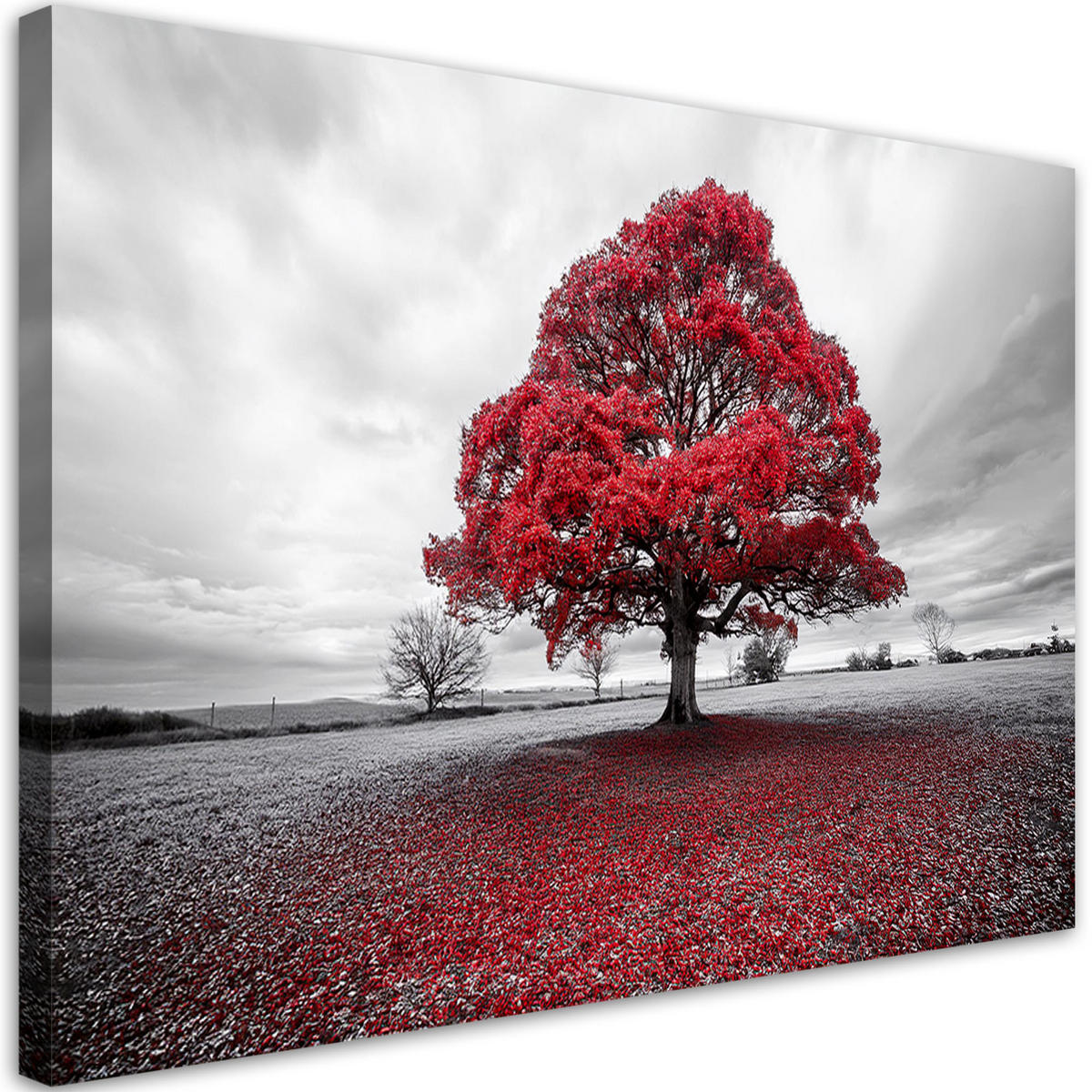 LEINWANDBILD Rote Baumlandschaft 90x60cm - Grau, Textil (90/60cm) - Feeby