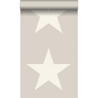 TAPETE Sterne 53 cm x 10.05 m - Grau, Papier (53/1000cm) - Origin Wallcoverings