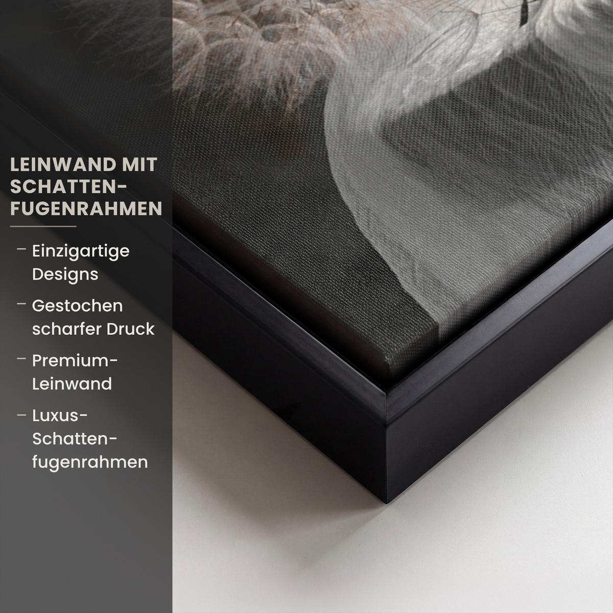 LEINWAND Bilder mit Rahmen - Blumensamen - Löwenzahn - Vase - Stilleben - Blumenstrauß - 50x50 - Dunkelgrau, Textil (50/50cm) - MuchoWow