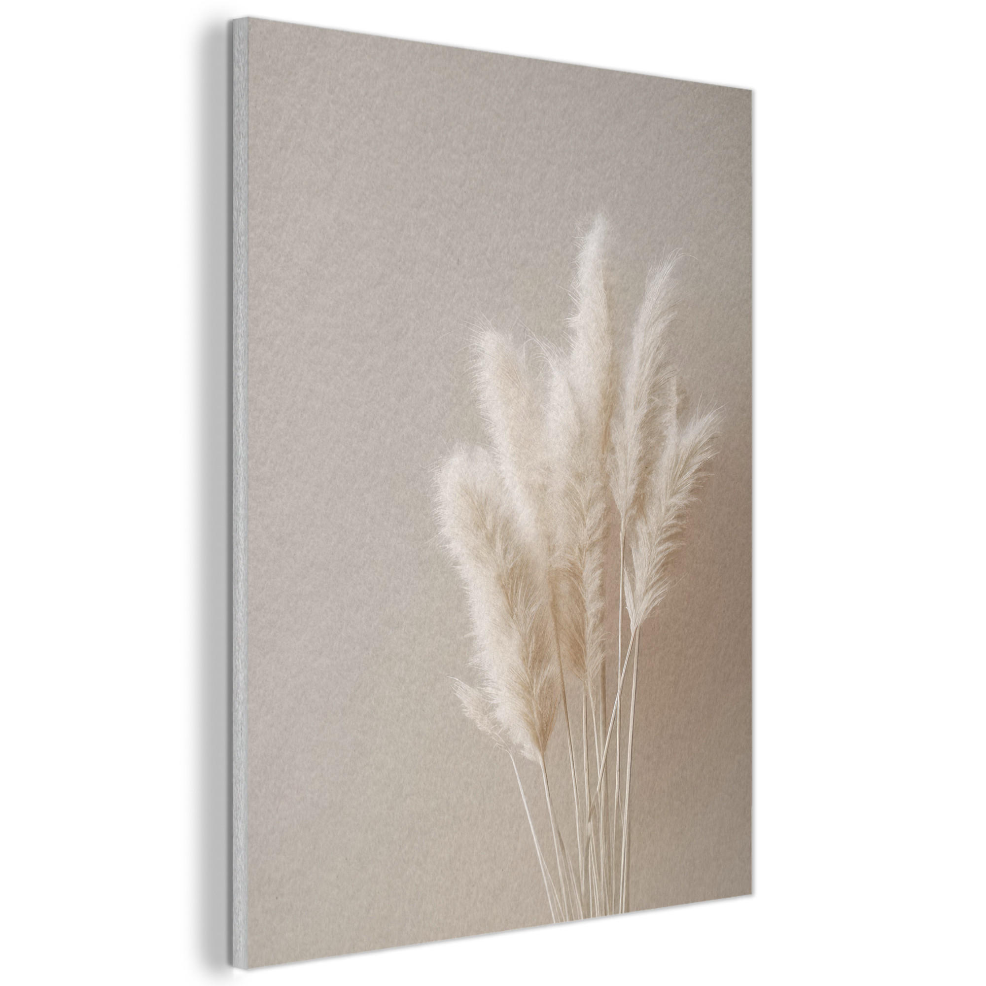 MuchoWow AKUSTICKÝ obraz Pampová tráva - Plumes - Pastelová - Bílá 60x80 cm