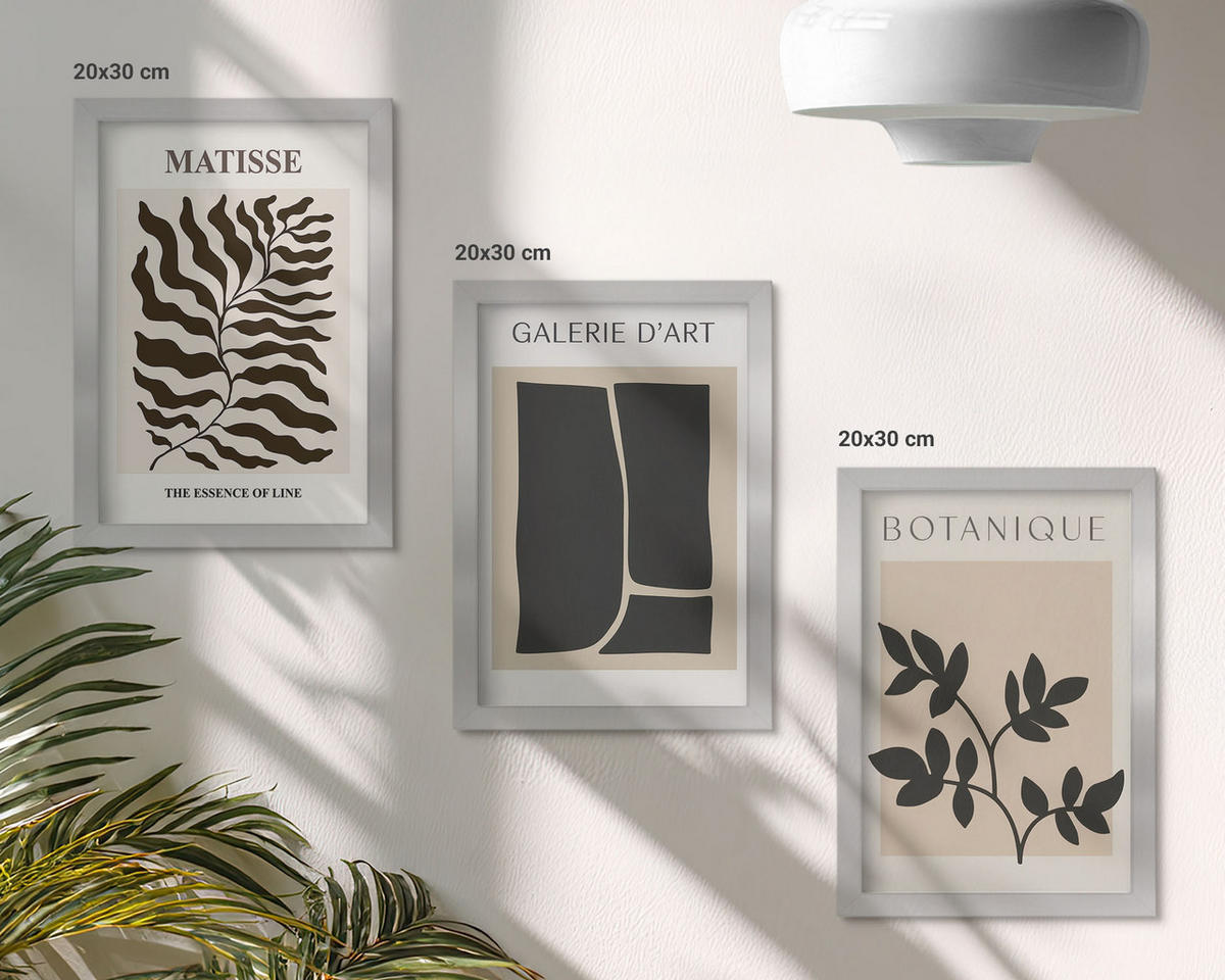 BILDER SET 3er Set - 20x30 cm Silberner Rahmen - Minimalistische Pflanzenposter - Silberfarben, Kunststoff (20/30cm) - TULUP