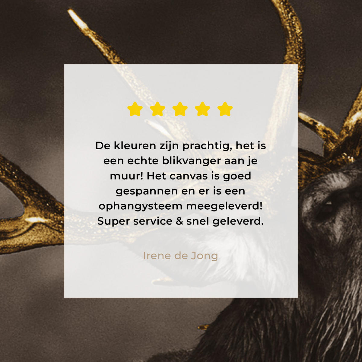 LEINWANDBILD Rotwild - Schwarz - Gold Deko Schlafzimmer 30x20 cm - Braun, Textil (30/20cm) - MuchoWow