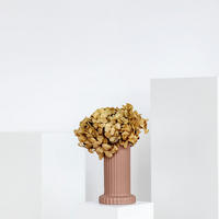 HORTENSIE: Zeitlose Schönheit, konservierte Hortensien als perfekte Dekoration - natur / 30 cm - Beige, Naturmaterialien (30cm) - Lykke & You