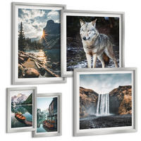 BILDER SET 5er Set - 50x50 cm & 20x30 cm & 40x60 cm Silberner Rahmen - Berge, Seen, Wasserfall, Wolf - Silberfarben, Kunststoff (40/60cm) - TULUP