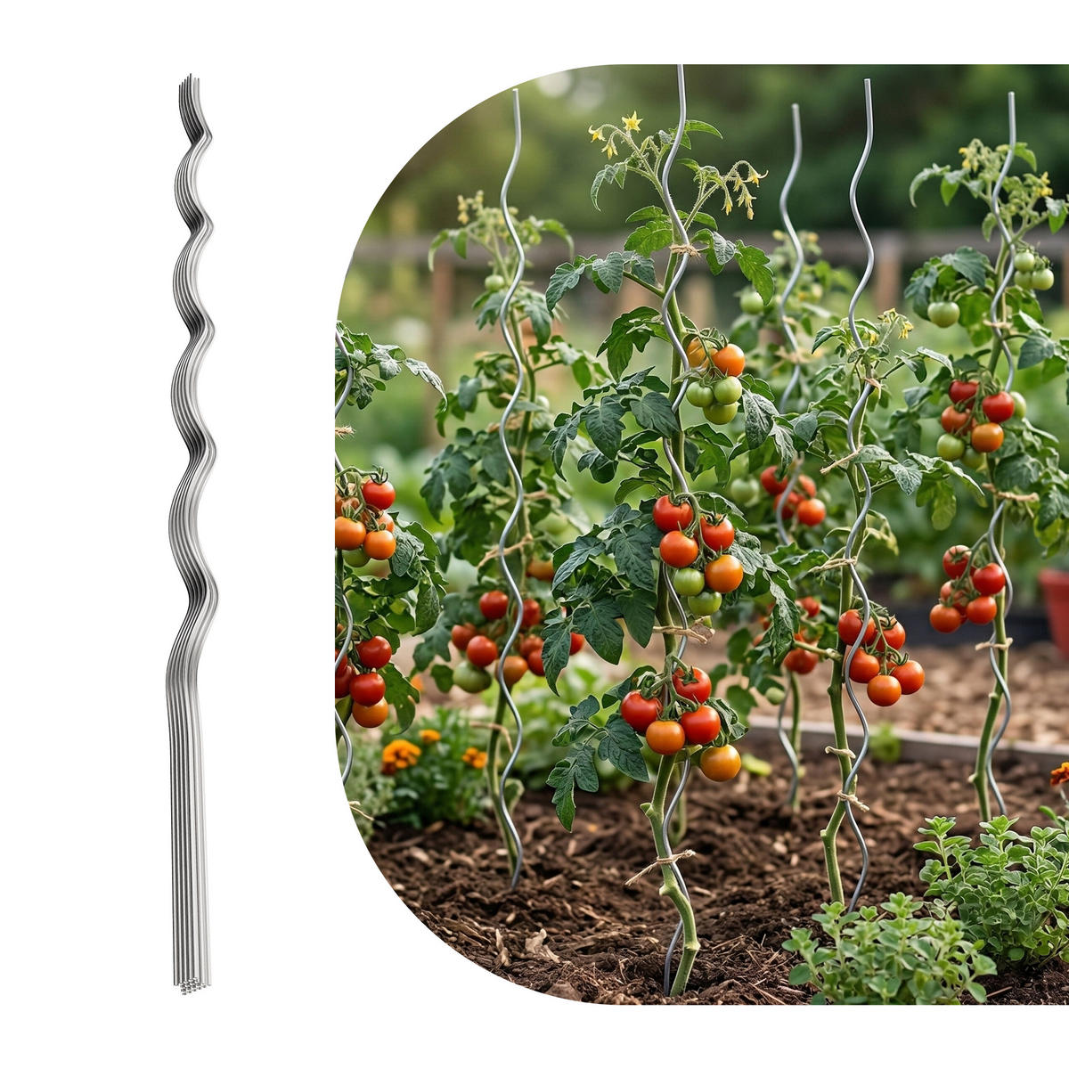 TOMATENSPIRALSTAB Silber 10er-Set verzinkter Stahl 150 cm - Silberfarben, Metall (0.5cm) - Relaxdays