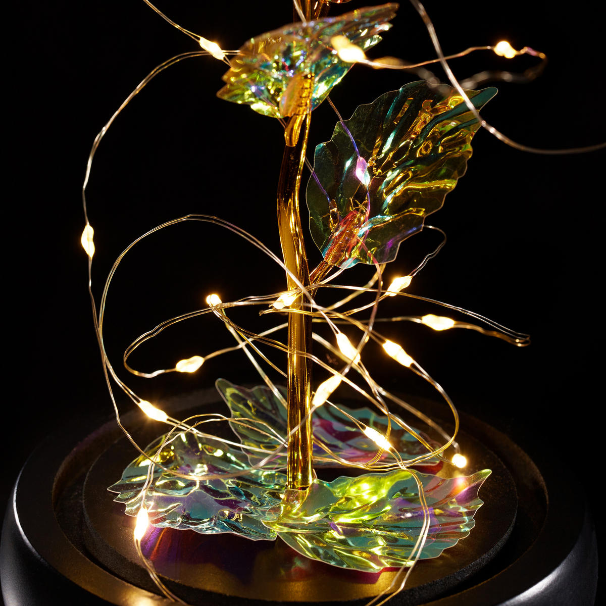 EWIGE Rose - Multicolor, Glas/Holz (11/22/11cm) - Relaxdays