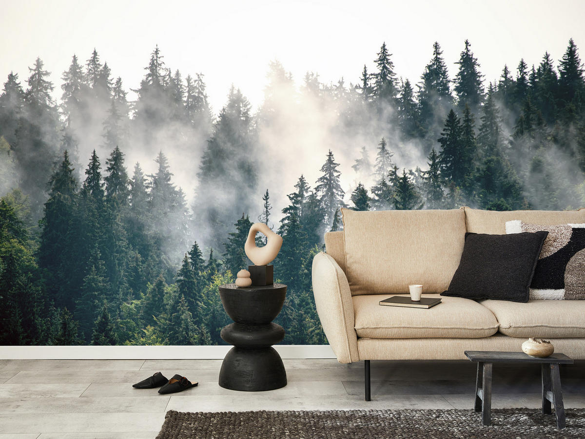 FOTOTAPETE für Wohnzimmer Nebeliger Nadelwald Berg Mystik Bäume 500x350 - Weiß/Grün, Papier (500/350cm) - Muralo