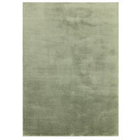 TEPPICH Wohn-/Schlafzimmer Langflor MOCO Grün 80x150 cm - Grün, Textil (80/150cm) - Novatrend