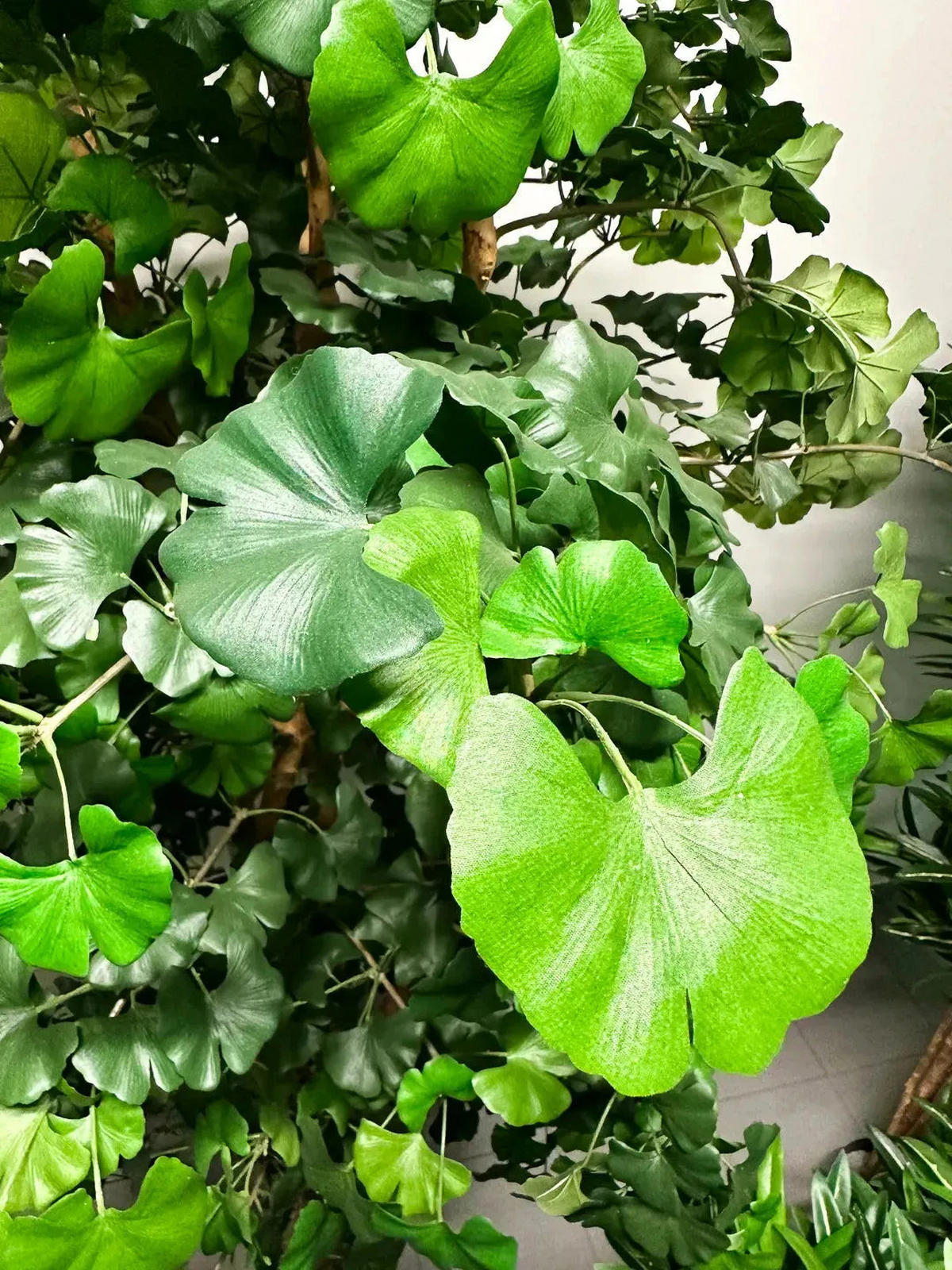 KUNSTBAUM Künstlicher Gingko - Titus 145 cm feuerhemmend - Grün, Kunststoff (145cm) - aplanta