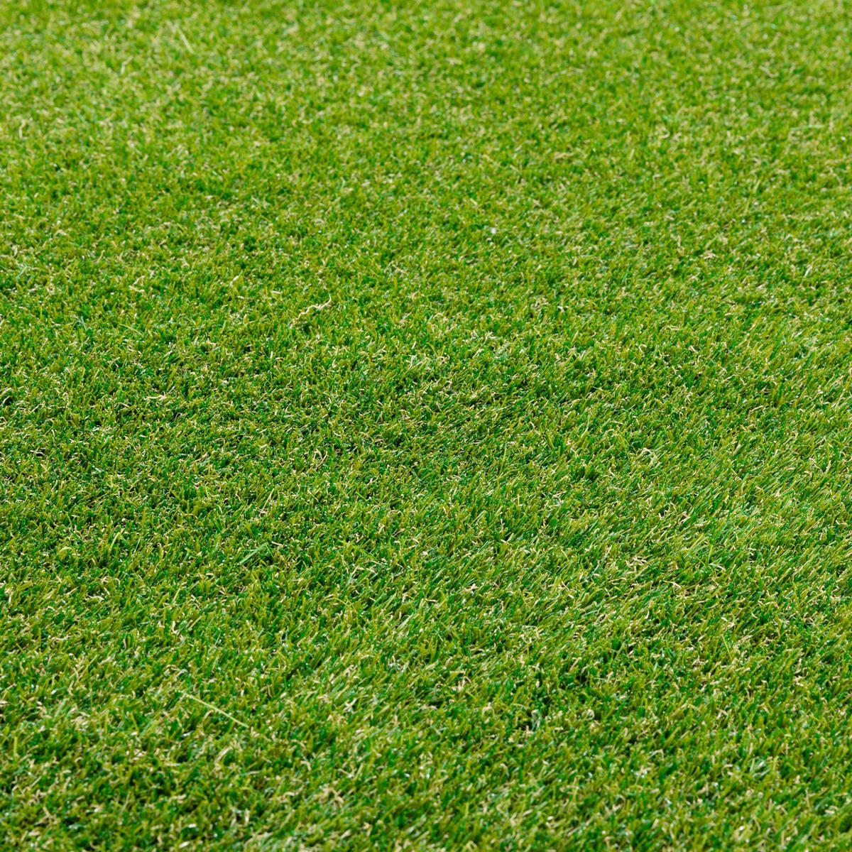 RASENTEPPICH Grün400/400 cm Florida - Grün, Kunststoff (400/700cm) - Steffensmeier