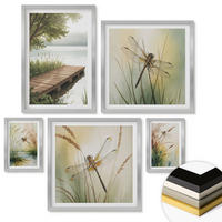 WANDBILDER 5er Set - 50x50 cm & 20x30 cm & 40x60 cm Silberner Rahmen - Libellengräser über dem Wasser - Silberfarben, Kunststoff (40/60cm) - ArtPrintCave