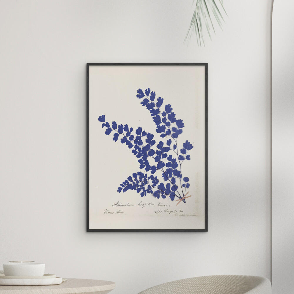 POSTER mit Rahmen Wild Apple - Botanical Fern III Blue - Blau/Schwarz, Holz/Papier (70/100cm) - Poster&Frame