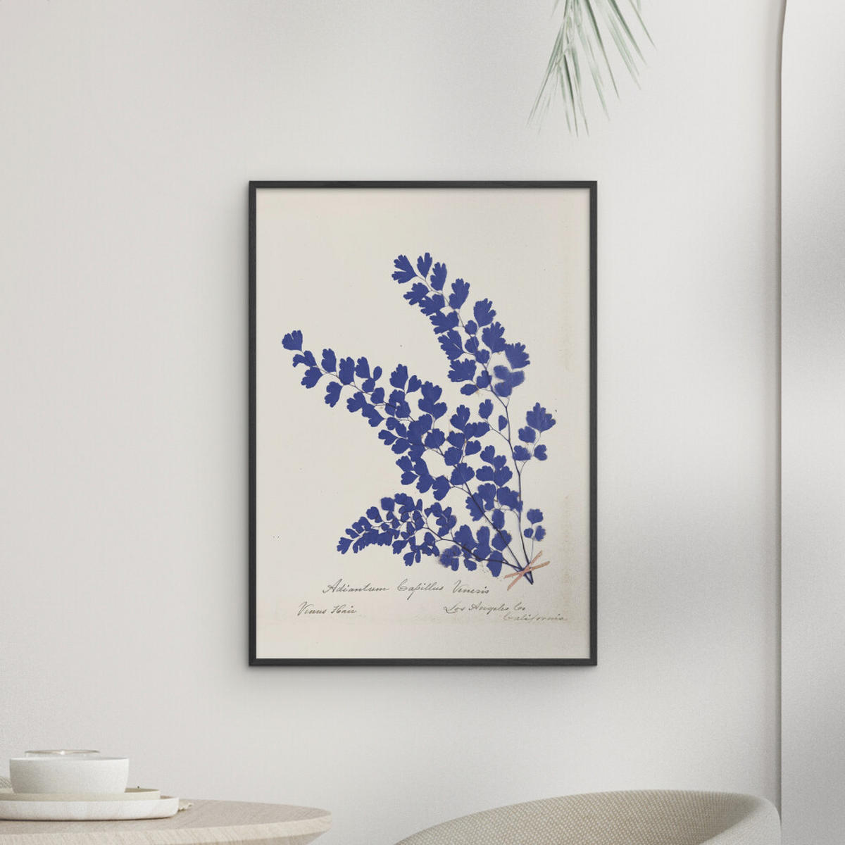 POSTER mit Rahmen Wild Apple - Botanical Fern III Blue - Blau/Schwarz, Holz/Papier (70/100cm) - Poster&Frame