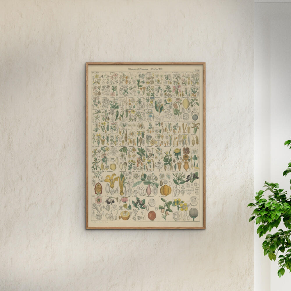 POSTER Wild Apple - Flora Chart I - Grün, Papier (70/100/0.1cm) - Poster&Frame
