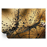 FOTOTAPETE 152x104 cm - Zarte Tropfen - Weiß, Textil (152/104cm) - Wallfluent