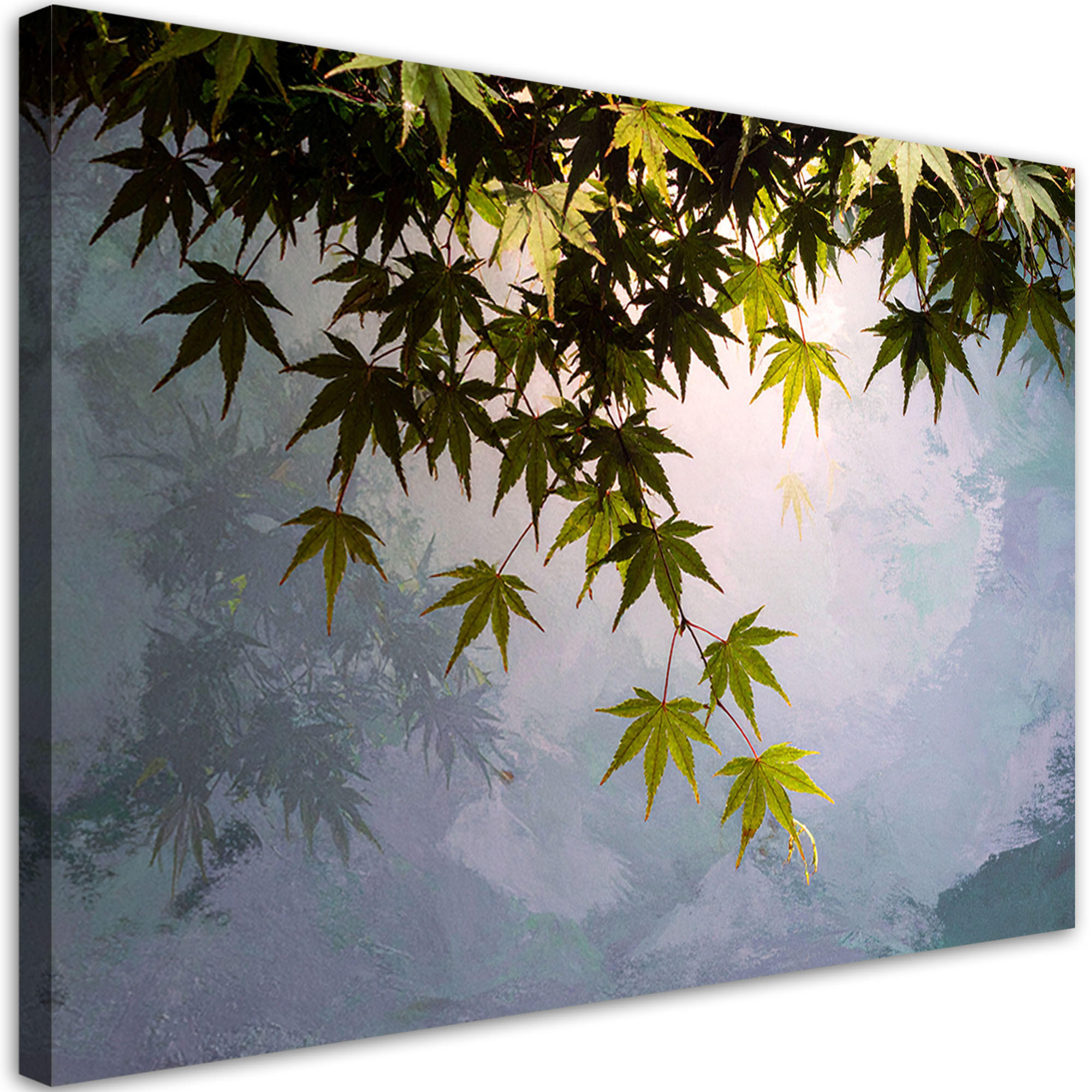BILD auf Leinwand, Grüne Ahornblätter Pflanzen Natur - Grün, Textil (45/30cm) - Feeby