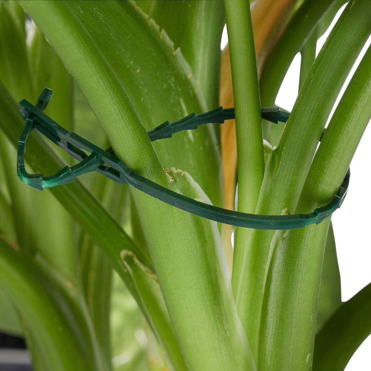 PFLANZENHALTER 100tlg. - Multicolor, Kunststoff/Metall (8/2/12.3cm) - Relaxdays