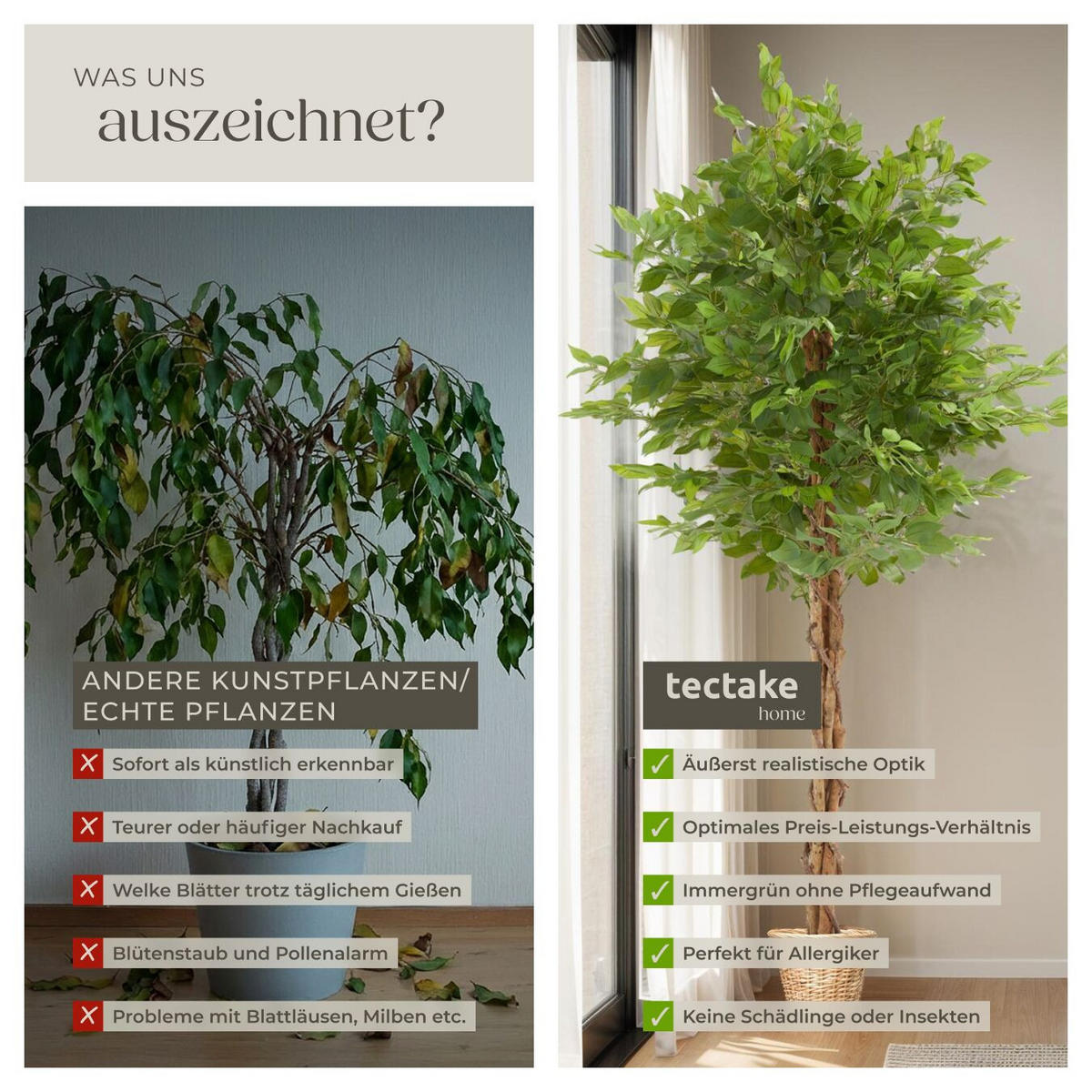 KÜNSTLICHER FICUSBAUM Fida, grün - Grün, Kunststoff (180cm) - tectake