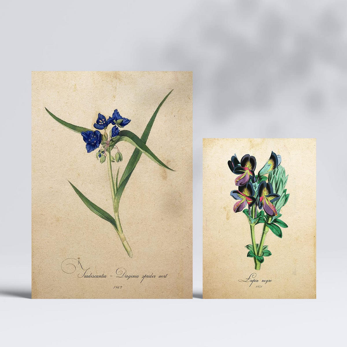 POSTER Set Mit 6 Blaue Blumen Vollfarbige Blumenmotiven Im Vintage Papier Stil A3 & A4 Rahmenlos - Klar, Papier (29/3cm) - Nacnic