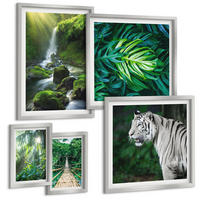 BILDER SET 5er Set - 50x50 cm & 20x30 cm & 40x60 cm Silberner Rahmen - Dschungel-Weißtiger-Wasserfall - Silberfarben, Kunststoff (40/60cm) - TULUP