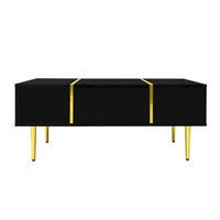 SIDEBOARD mit 2 Schubladen Hochglanz-Oberfläche Schwarz-Gold 100/60/41,5 cm - Goldfarben/Schwarz, Holzwerkstoff (100/41.5/60cm) - EVRYAE