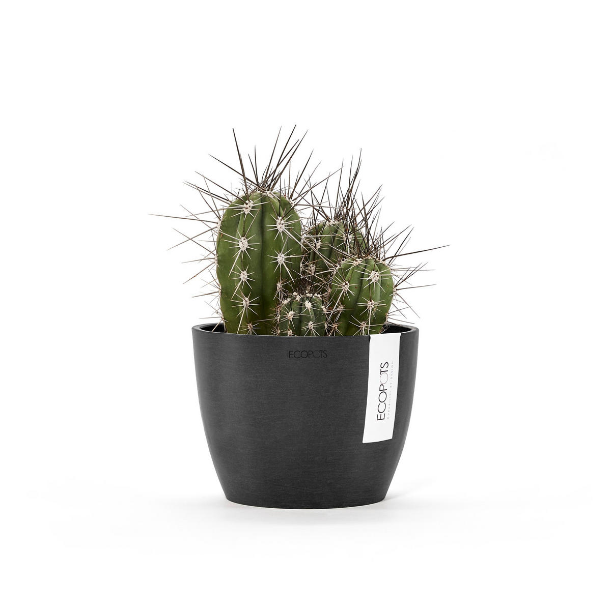 BLUMENTOPF Stockholm Mini 16,2/12 cm Dunkelgrau - Dunkelgrau, Kunststoff (16.2/12cm) - Ecopots
