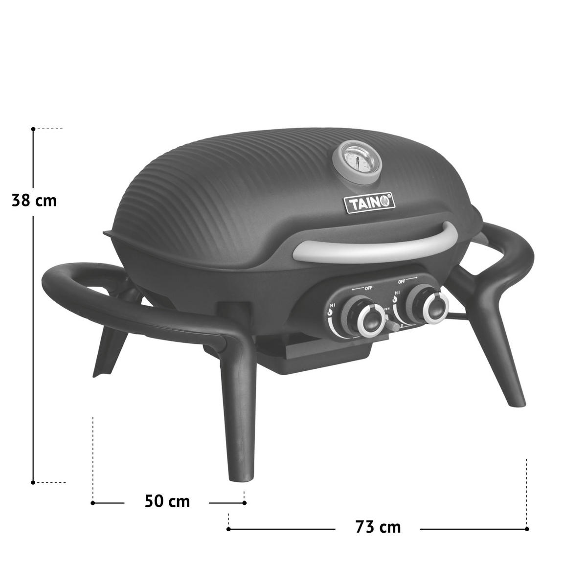 TISCHGRILL KENAI Set Schwarz - Schwarz, Kunststoff/Metall (73/38/50cm) - TAINO