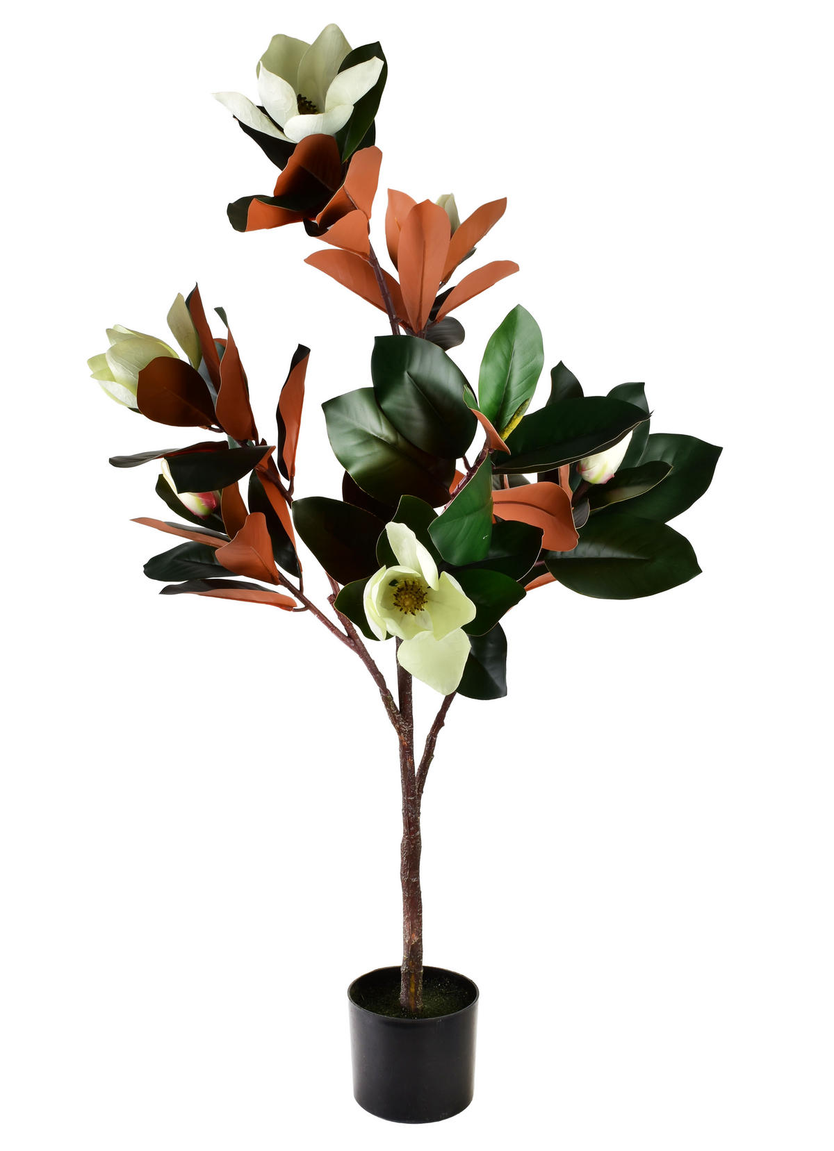 KUNSTBLUME Viridis Braun 15x14x120 cm Kunststoff - Braun, Kunststoff (120cm) - Mondex