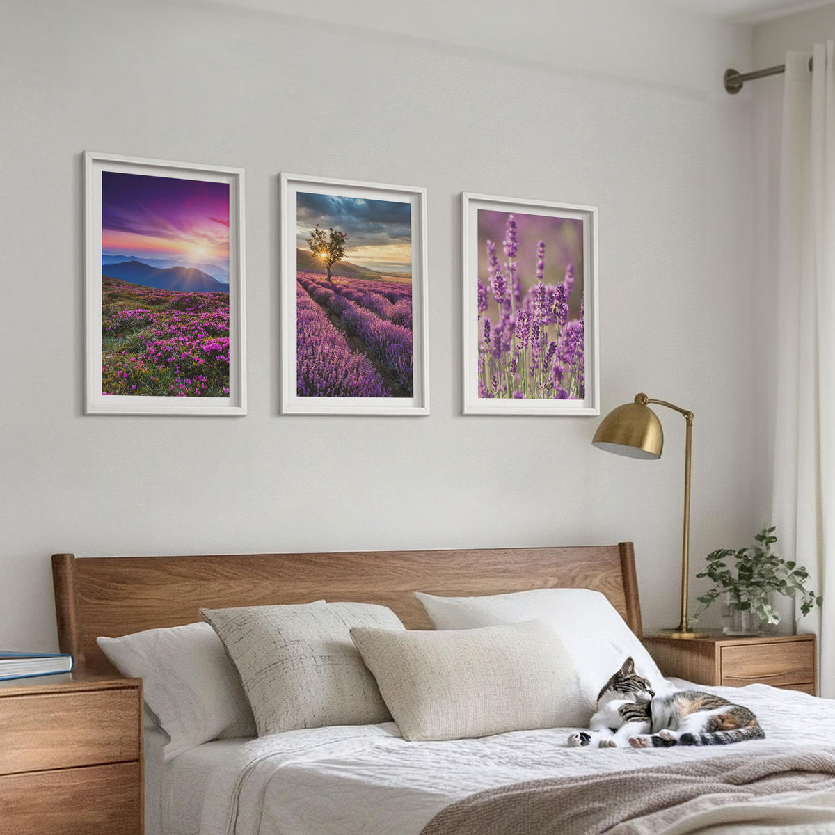 BILDER SET 3er Set - 40x60 cm Weißer Rahmen - Sonnenuntergang auf Lavendelfeldern - Weiß, Kunststoff (40/60cm) - TULUP