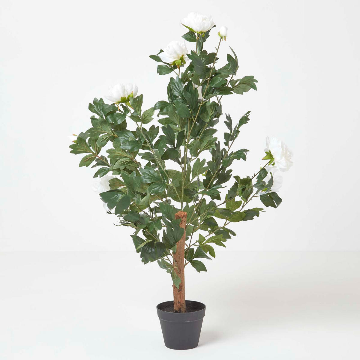 KUNSTPFLANZE Baumpfingstrose creme, 100 cm - Creme, Kunststoff (100cm) - Homescapes