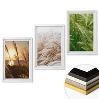 WANDBILDER 3er-Set - 40x60 cm Weißer Rahmen - Gräser farbenfrohe Natur - Weiß, Kunststoff (40/60cm) - ArtPrintCave