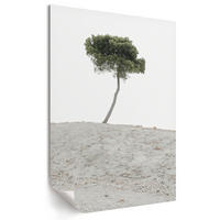 POSTER - 42x59 cm - X-Mario - Einsamer Baum - Weiß, Textil (42/59/0.1cm) - TULUP