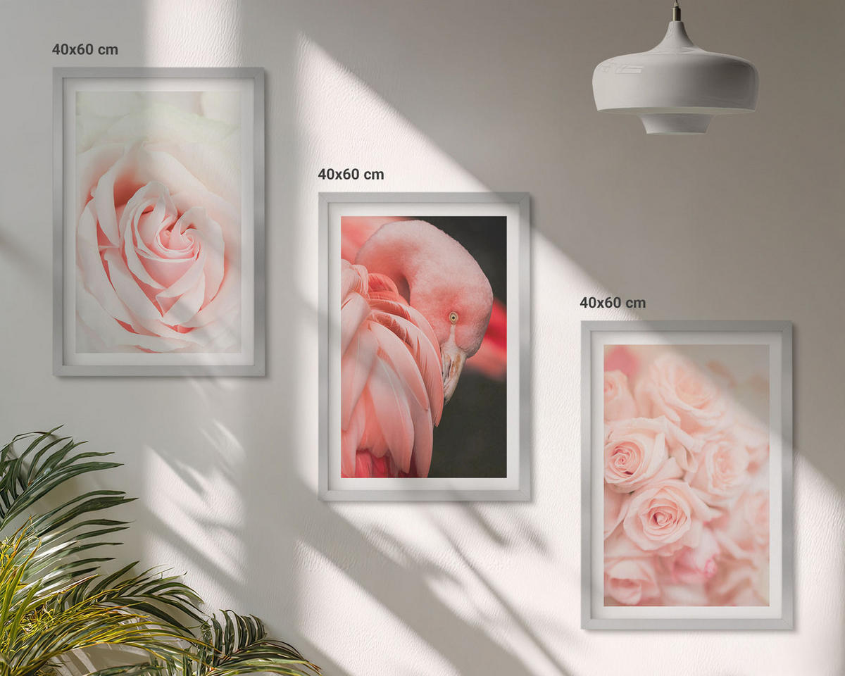BILDER SET 3er Set - 40x60 cm Silberner Rahmen - Zartrosa Flamingos - Silberfarben, Kunststoff (40/60cm) - TULUP