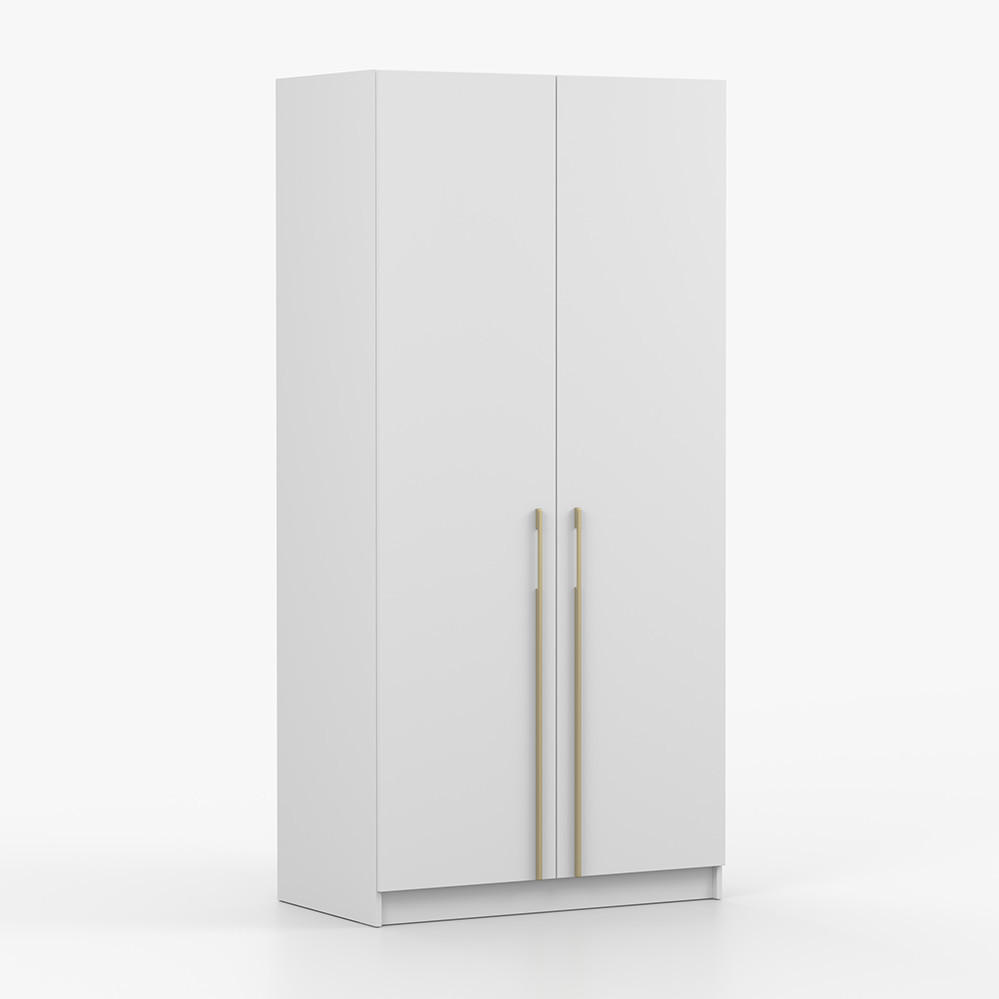 SCHRANK mit Schwenktüren ROSA II 2D 100/210/55, 2-türig, weiß - Goldfarben/Weiß, Holzwerkstoff (100/210/55cm) - imoebel24