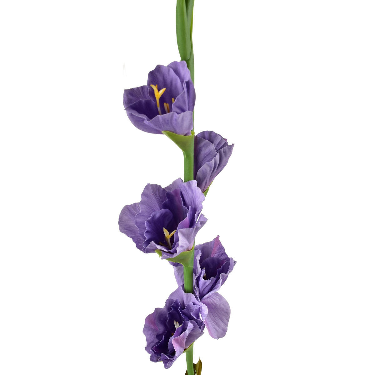 KVĚTINA, plast, fialová - fialová, plast (85cm) - Mondex