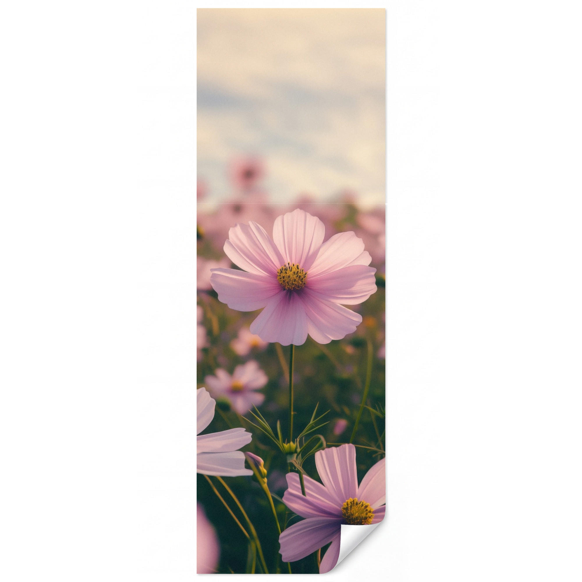 OnlyWow Tapete Rosa 100x300 cm