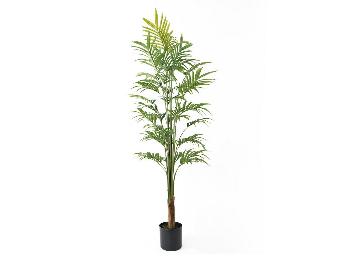 DEKOPFLANZE Gold Palm Tree 65/65/160 cm - Grün, Kunststoff (160cm) - Present Time