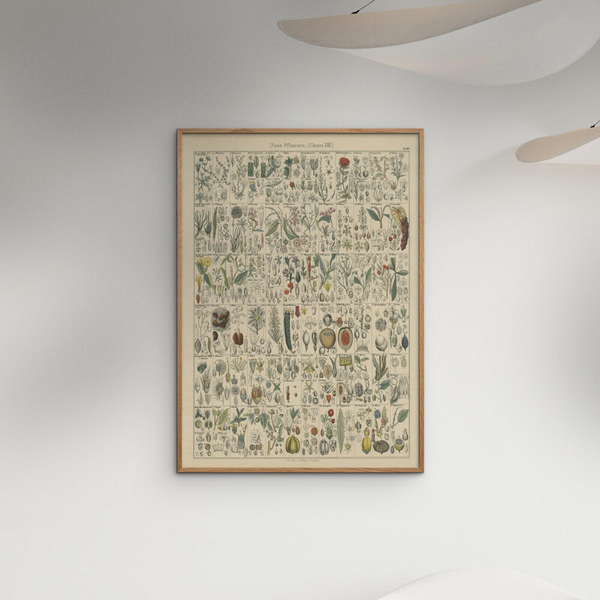 POSTER Wild Apple - Flora Chart II - Grün, Papier (70/100/0.1cm) - Poster&Frame